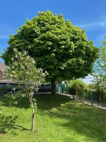 Lieblingsplatz An Der Lahn Apartment *